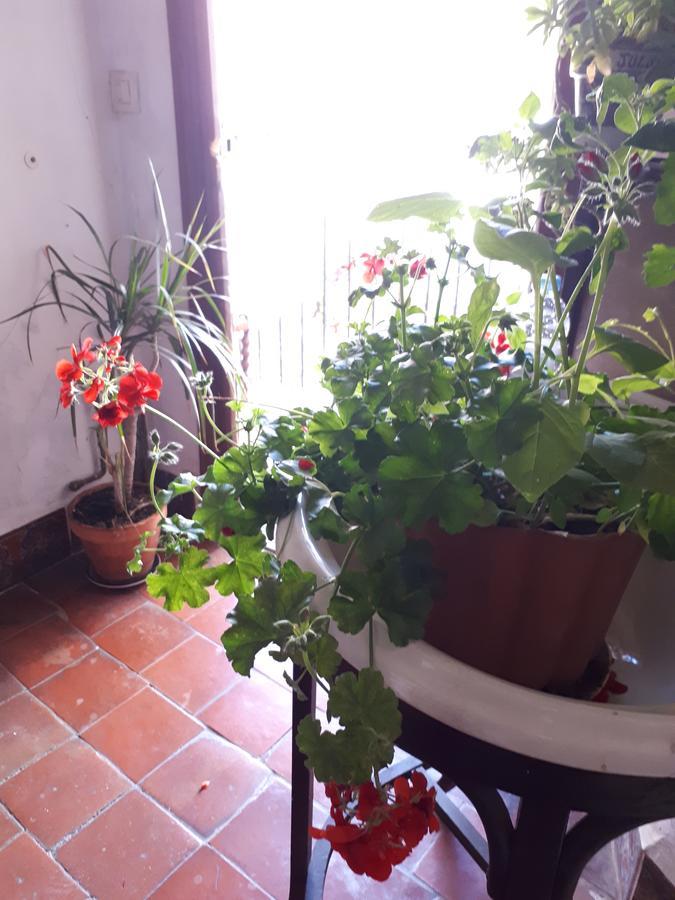 Fonda Del Tozal Hotel Teruel Bagian luar foto